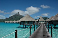 /album/maravilhasdomundotodo/polin-francesa-jpg/